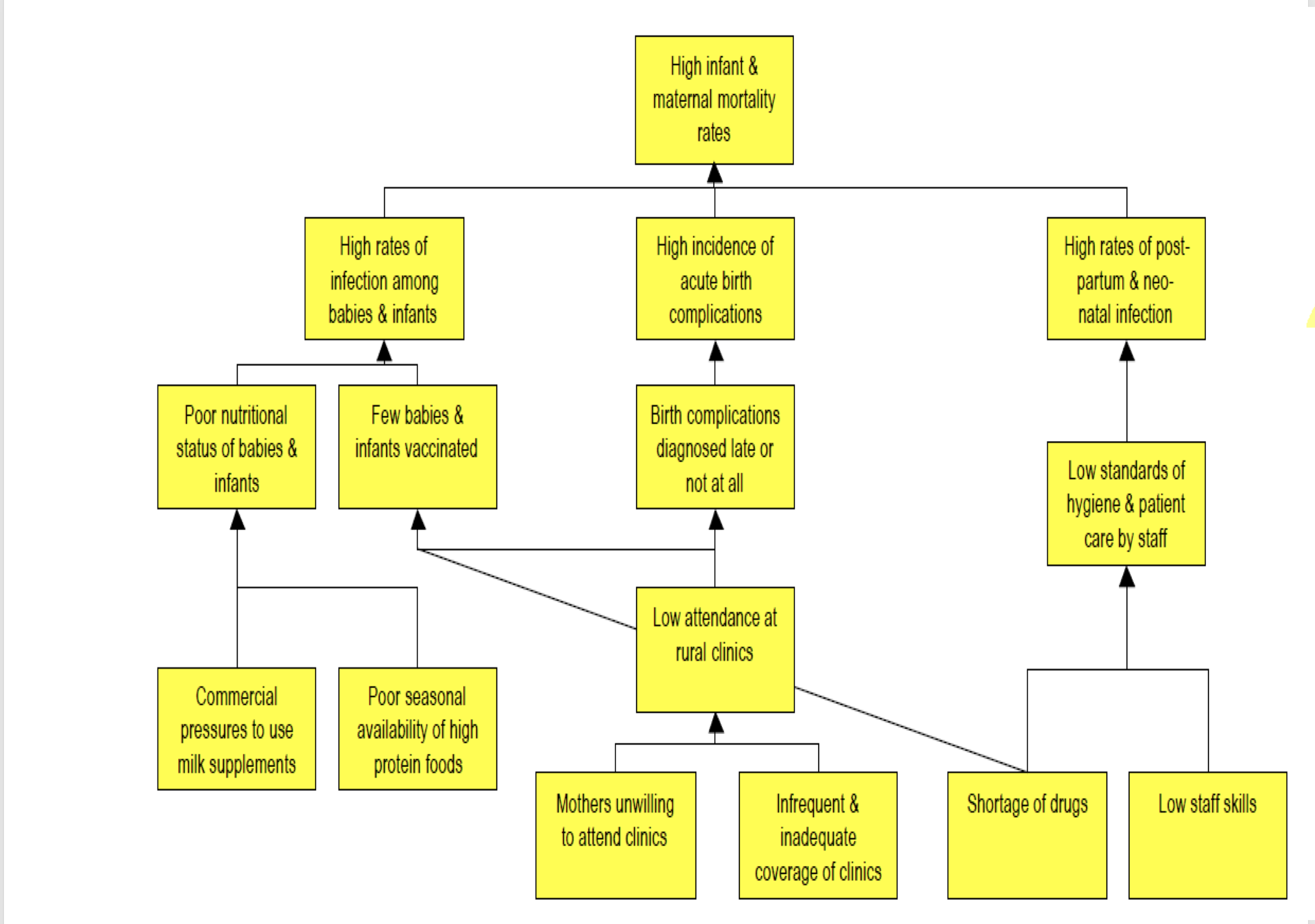 Problems Analysis visually represents the causes and effects of existing problems in the project area.